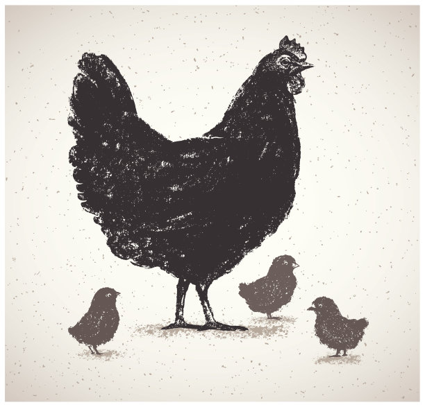 小鸡和小鸡的轮廓图图片下载