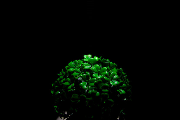 这棵假的树，看着会给人一种与众不同的感觉图片下载