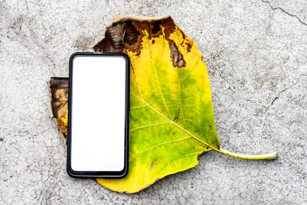 一片空白的白屏智能手机。智能手机白屏背景图片下载