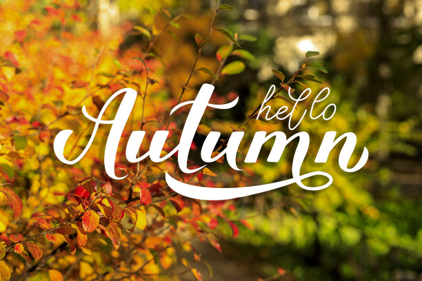 你好秋天的书法手字模糊的图片与彩色的树叶。秋日的花园，阳光明媚。明亮的背景。图片下载