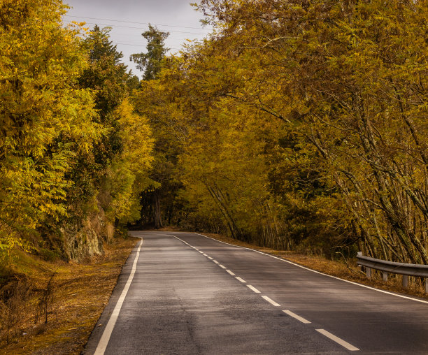 秋天的道路图片下载