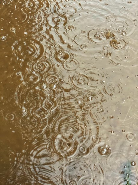 水坑里有一滴水图片下载