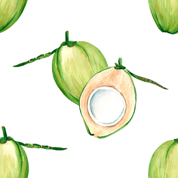 椰子样本模式。白色背景上的新鲜绿色椰子。水彩插图厨房设计，生物食品，菜单，健康食品，纺织品，市场。图片下载