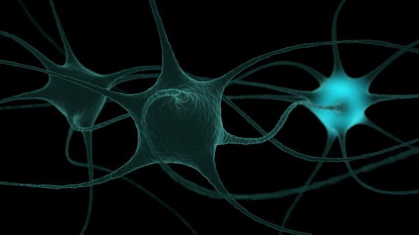 神经元簇信号在大脑内传递图片下载