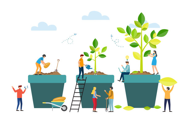 树从种子到大植物的生长阶段。图片下载