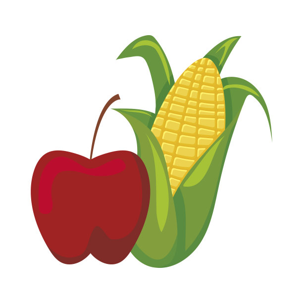 白色背景上的甜玉米和苹果图片下载