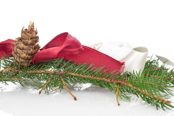 圣诞树的树枝孤立在白色图片下载