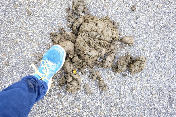 脚快要踩碎路上的牛粪了图片下载