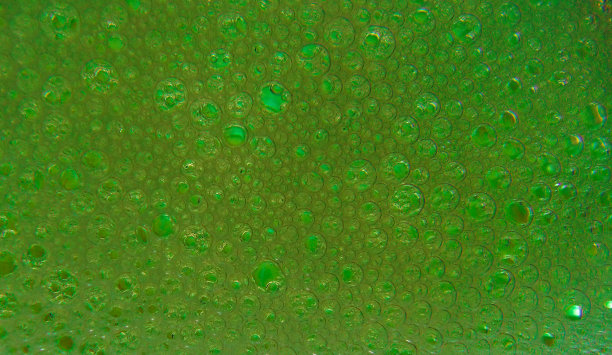 肥皂泡图片下载