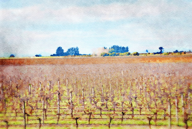 秋天葡萄园的水彩画图片下载