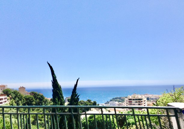 蒙特卡洛的看法图片下载