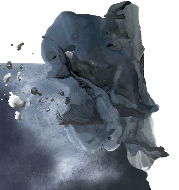 大鱼在水里，水墨插画图片下载