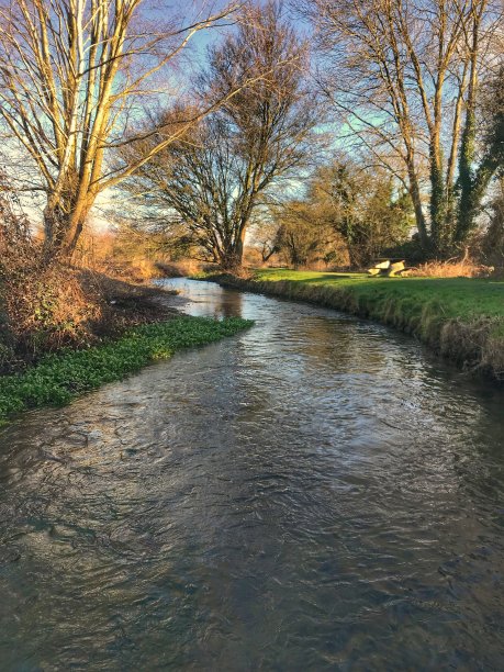 莱科姆·布鲁克图片下载