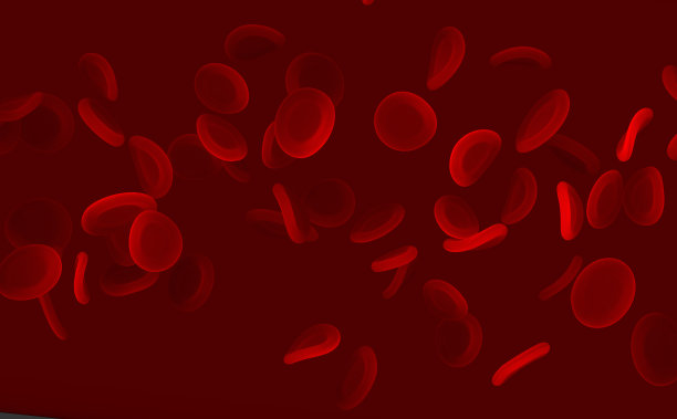 血细胞闭合。图片下载