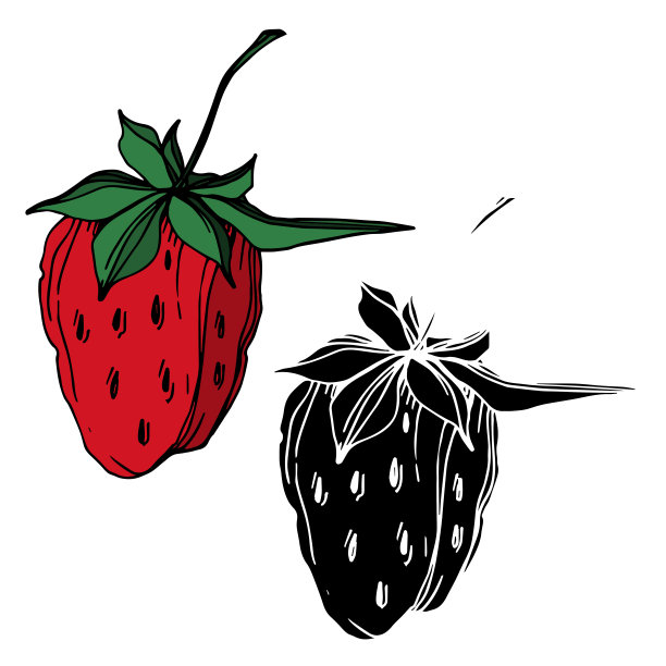 载体草莓新鲜浆果健康食品。黑白篆刻水墨艺术。孤立的草莓插图元素。图片下载