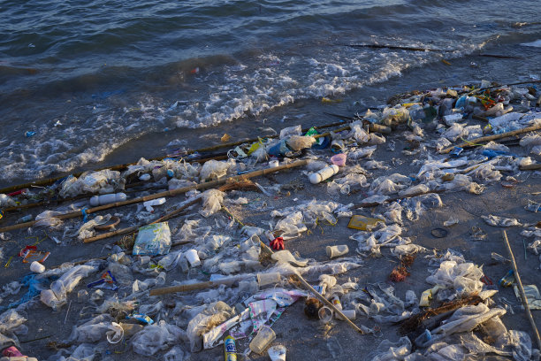 海滩上的垃圾污染图片下载