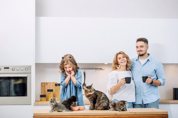 一家人的爸爸、妈妈和可爱的女儿和毛茸茸的小猫一起快乐地在明亮的室内厨房里图片下载