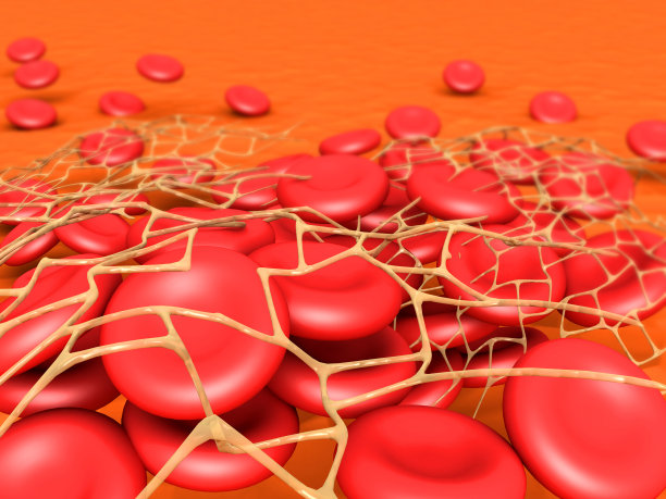 红血球流动图片下载