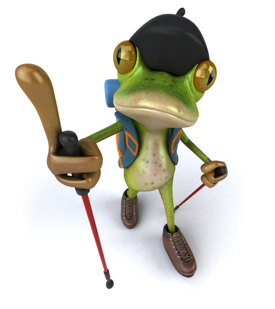 有趣的背包客青蛙- 3D插图图片下载