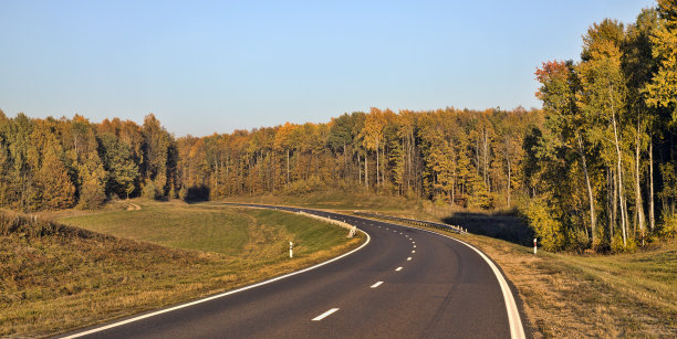 道路树木秋天图片下载