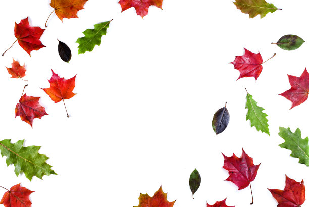 秋叶飘落的背景图片下载