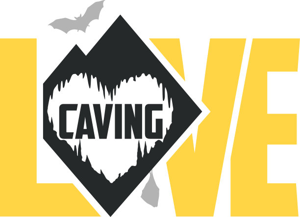 矢量洞穴标志标签与洞穴和蝙蝠。我爱屈服。图片下载