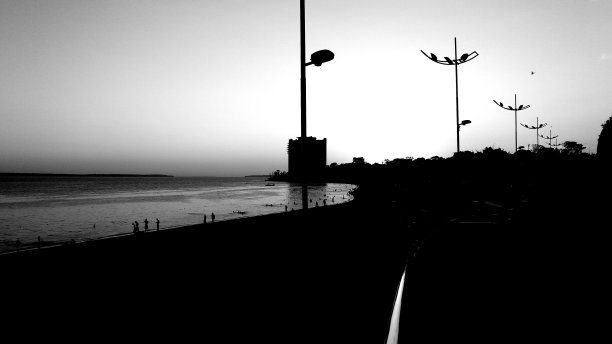 黑色和白色的亚马逊大都市的黄昏图片下载