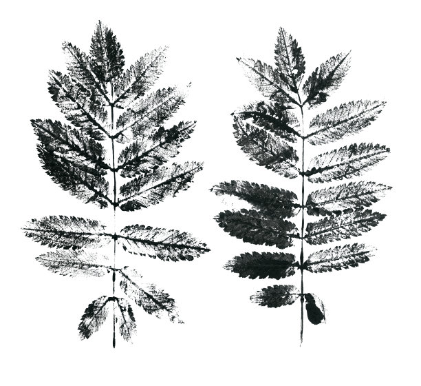 把墨水邮票。黑色孤立在白色背景上。图片下载