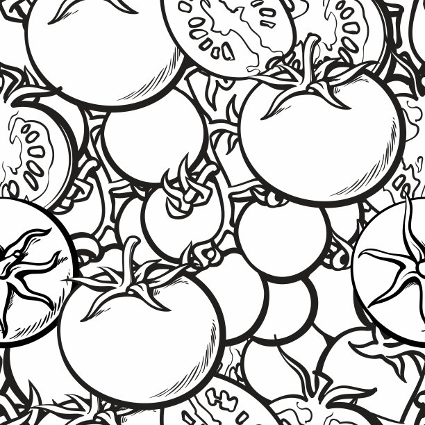 无缝背景或图案与雕刻草图西红柿矢量插图。图片下载
