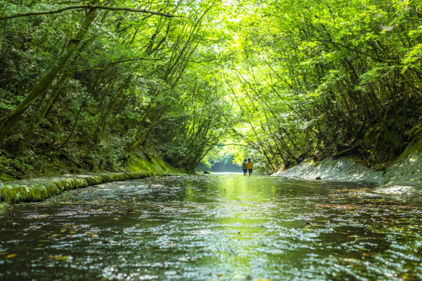 日本大分的Takkiri峡谷。图片下载