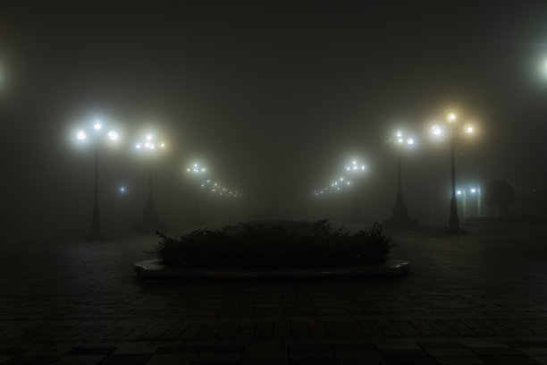 在有雾的傍晚在公园里存量照片图片下载