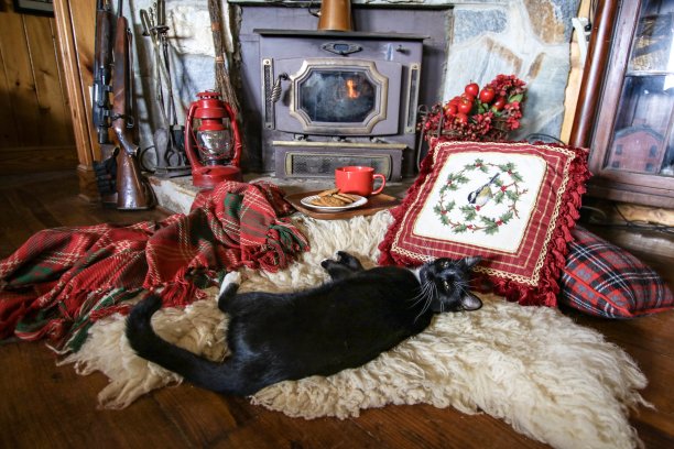 石头壁炉旁的圣诞装饰，绵羊皮地毯上睡着一只黑猫，格子毯，红灯笼和一个盛有红色杯子的盘子，还有给圣诞老人的五香姜饼干图片下载