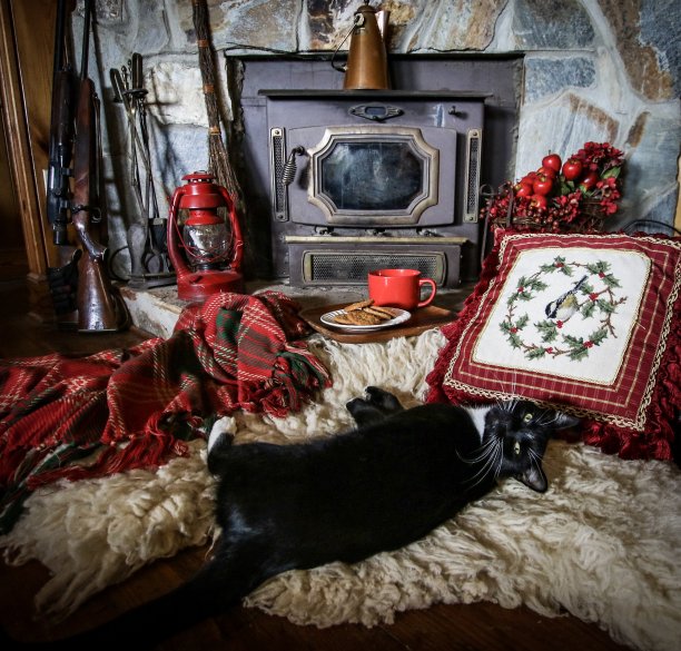 石头壁炉旁的圣诞装饰，绵羊皮地毯上睡着一只黑猫，格子毯，红灯笼和一个盛有红色杯子的盘子，还有给圣诞老人的五香姜饼干图片下载