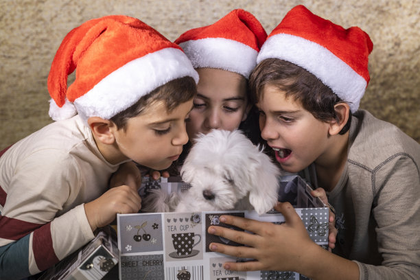 三个快乐的孩子打开他们的圣诞礼物图片下载