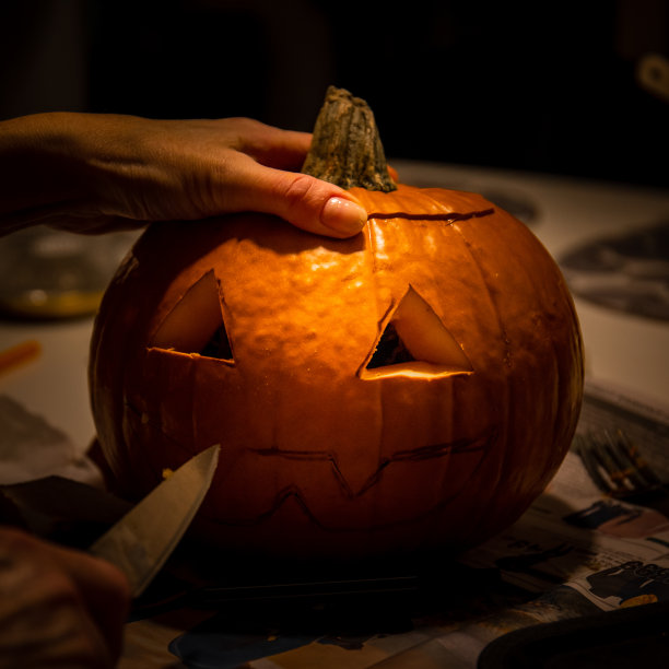 南瓜- 2019图片下载