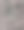 堕落的分支图片下载