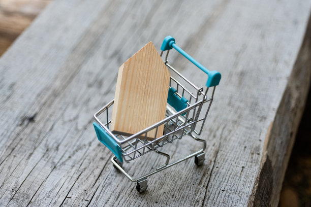 木制的玩具房子，一个购物手推车在一个天然的木制背景。关于在自然或城市以外购买房地产的概念照片。图片下载