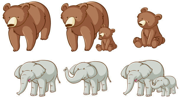 熊和大象的孤立图片图片下载