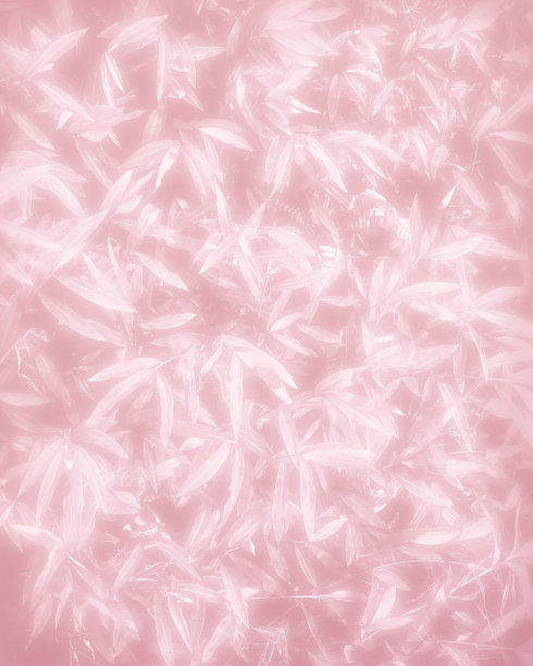 照片:粉色草的设计元素-自然背景-柔焦点图片下载