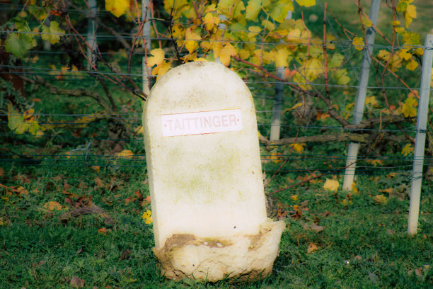 法国的颜色图片下载