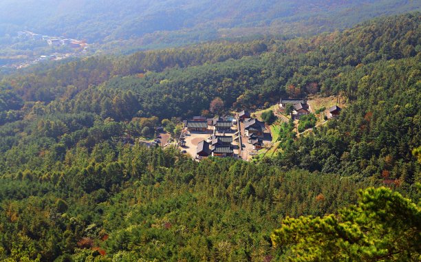 vd724 海印词典图片下载