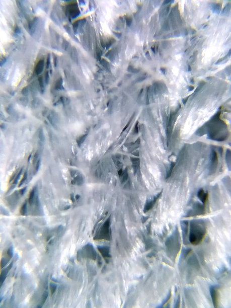 纺织品在显微镜下图片下载