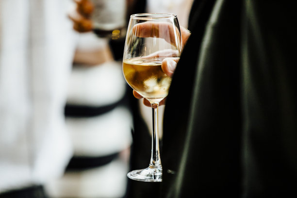 葡萄酒和社交活动图片下载