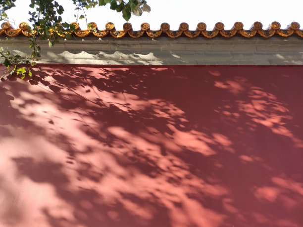 紫禁城的城墙和城墙上的树影图片下载