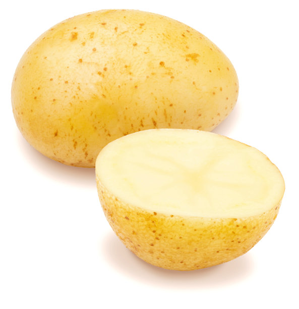 两个漂亮的土豆(一个是完整的，一个是一分为二的)。在白色背景上隔离图片下载