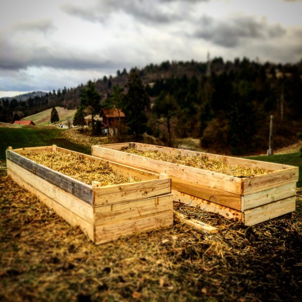 高床花园图片下载