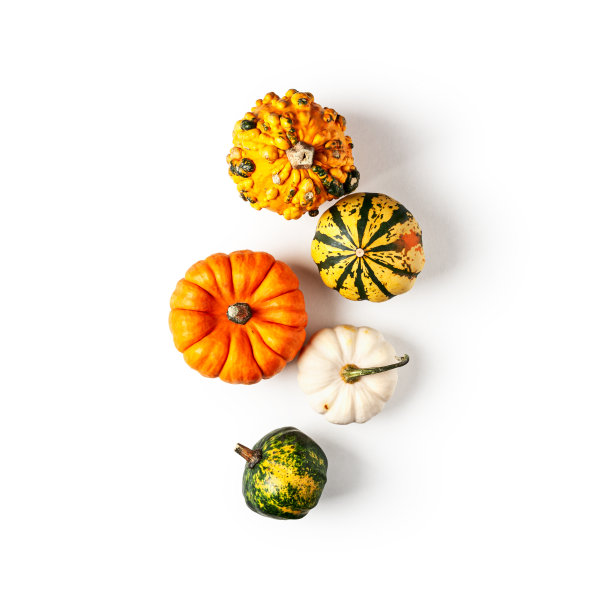 南瓜组成图片下载