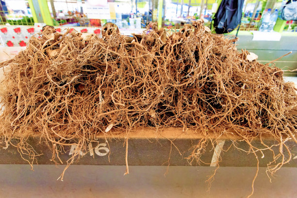 胡椒根。图片下载