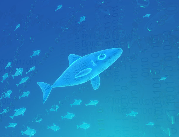 虚拟鱼类栖息地鲨鱼游泳图片下载