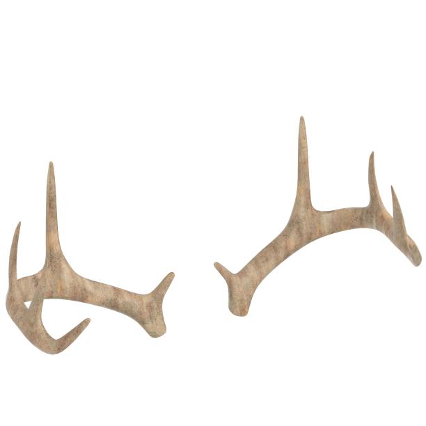 鹿角图片下载